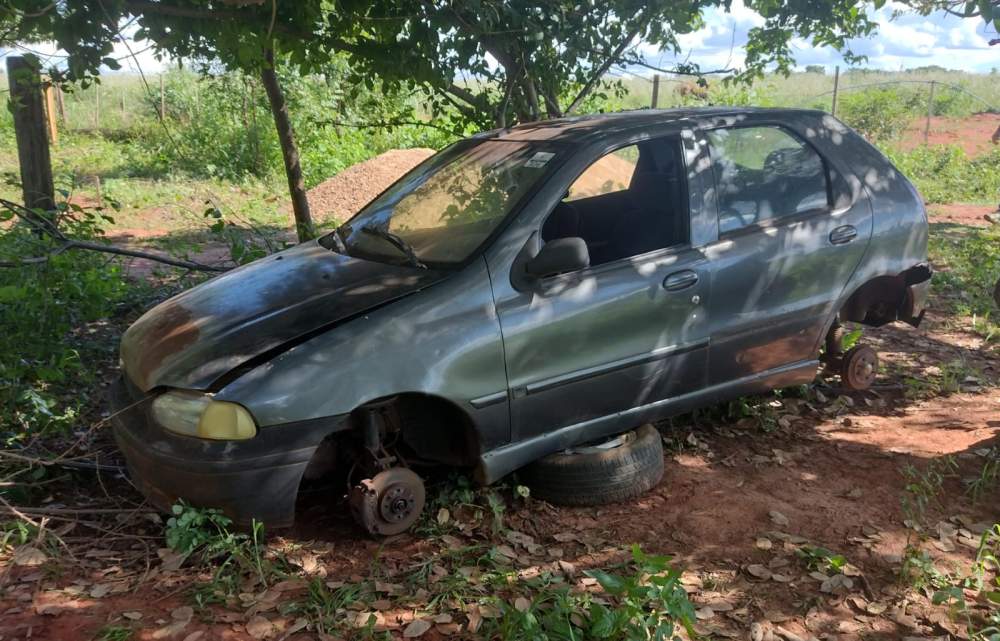 DIG encontra carro e gado furtados em Andradina em sítio localizado em Murutinga do Sul