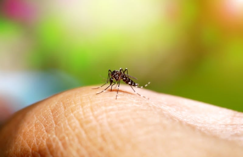 Castilho começa realizar teste rápido para dengue nas Unidades Básicas de Saúde