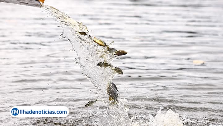 CTG SOLTA 750 MIL PEIXES NO RIO PARANÁ