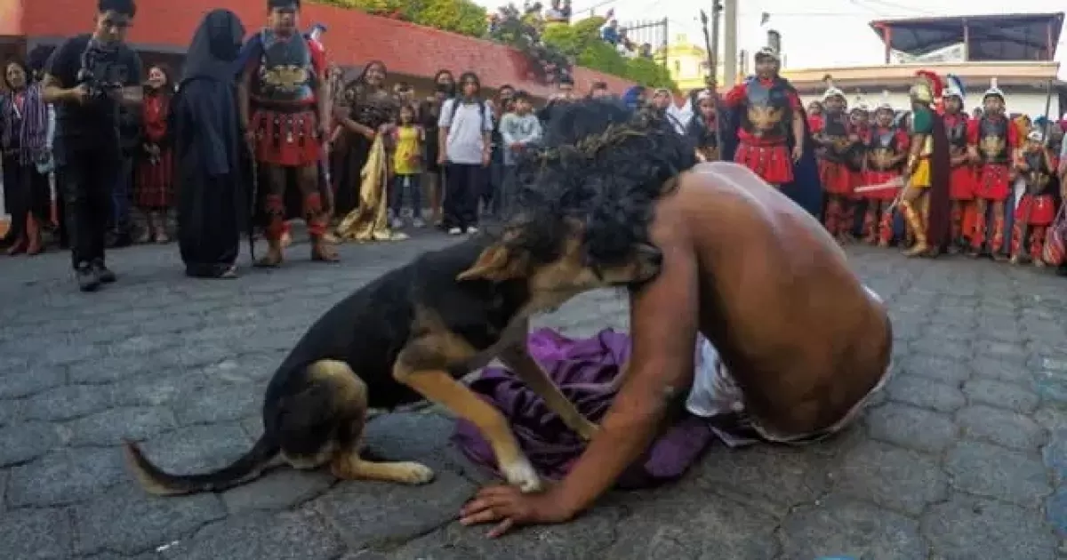 Cão tenta consolar “Jesus” durante via crucis e gesto inocente mostra o verdadeiro sentido da Páscoa