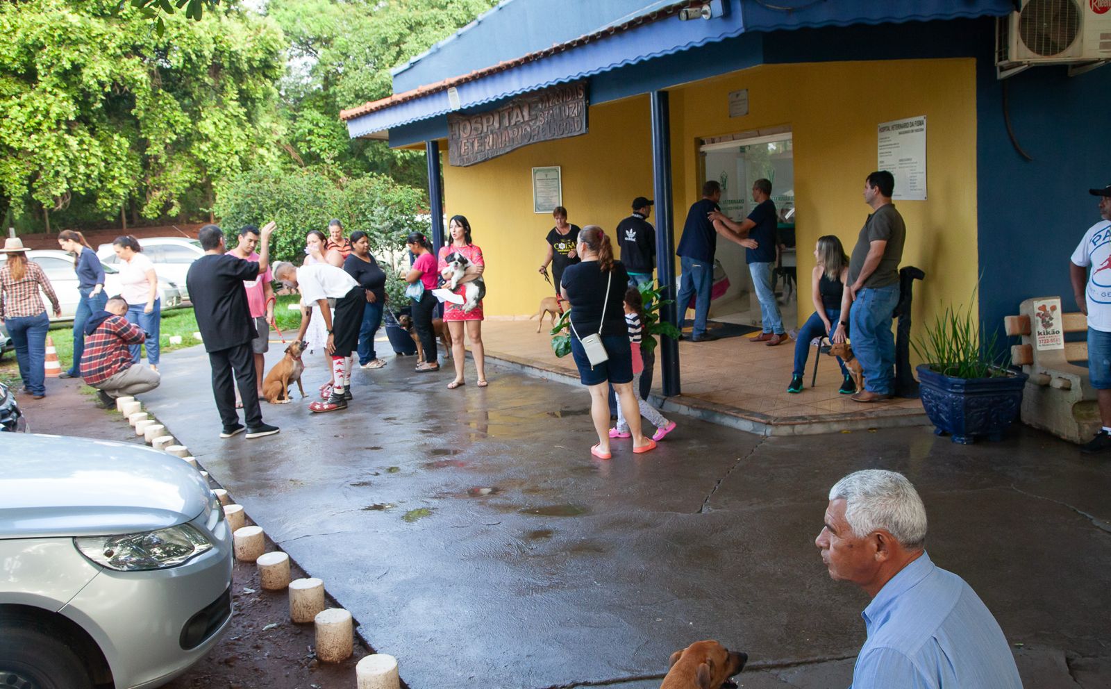 Mutirão de Castração vai acontecer 1 vez por mês