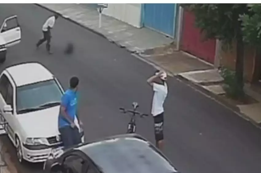 Cachorra é violentamente agredida por tutor
