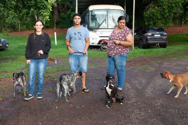 Cerca de 80 cães serão castrados em novo mutirão em Andradina