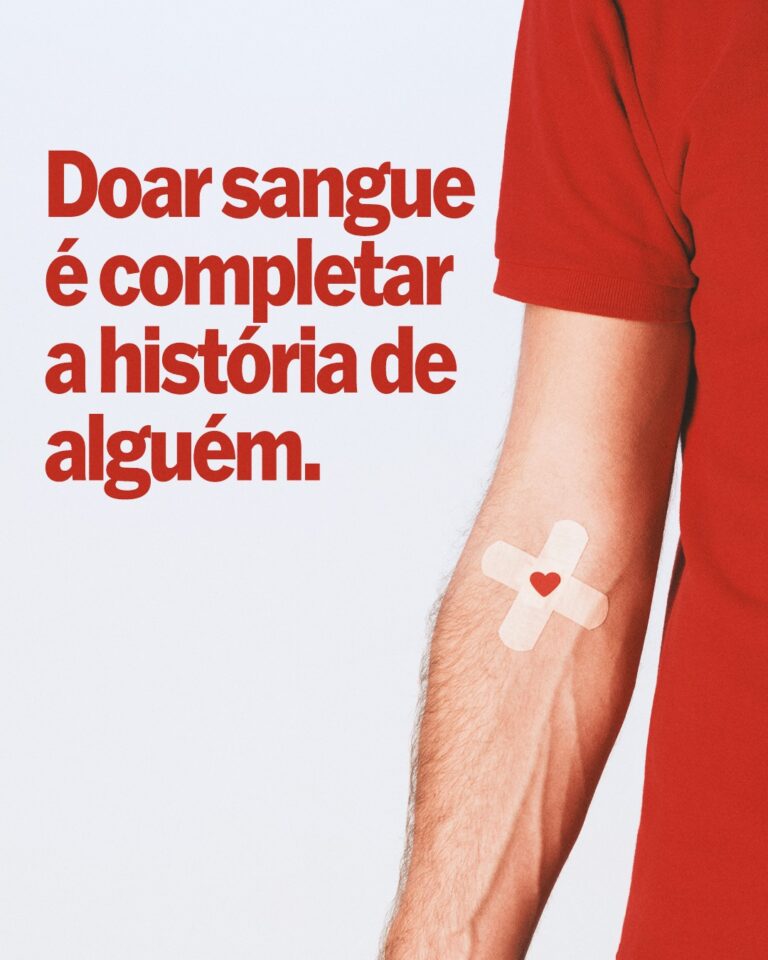 Câmara Municipal E Independente Online Andradina SP