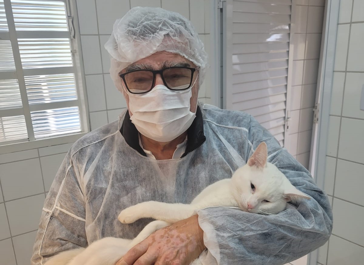 Unidade de Vigilância de Zoonozes de Andradina já castrou 5 mil gatos desde 2021