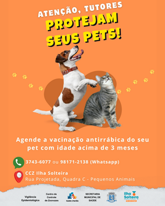 Ilha Solteira promove agendamento para vacinação antirrábica de cães e gatos