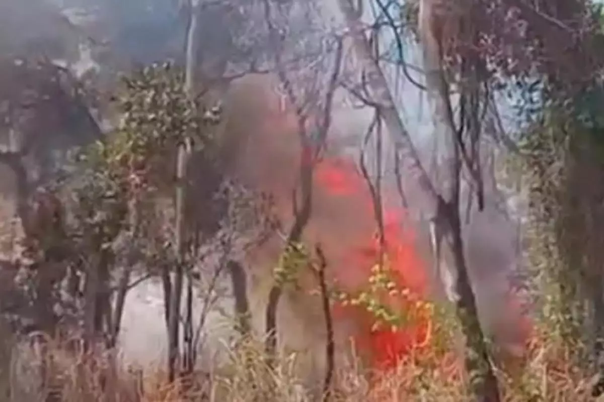 Incêndios se espalham no interior e interditam rodovias