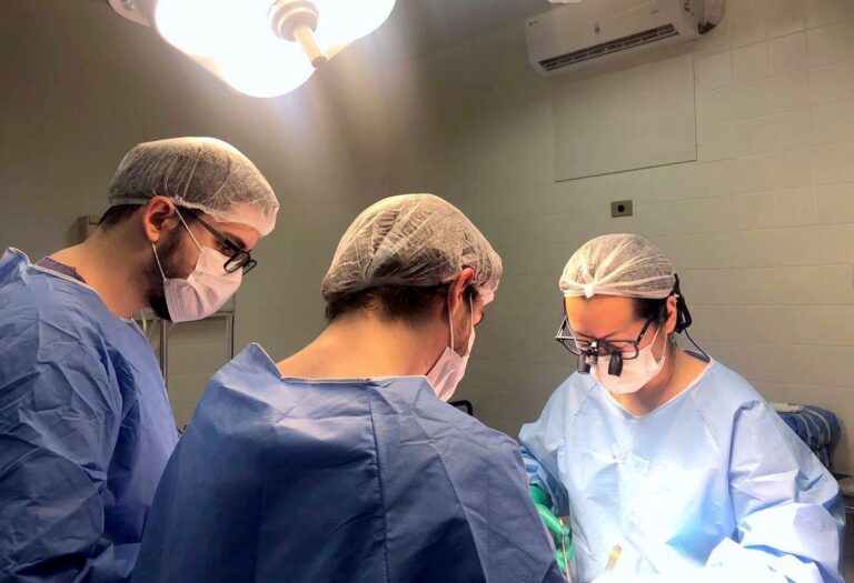 Em dez anos, Santa Casa de Araçatuba captou 356 órgãos transplantados