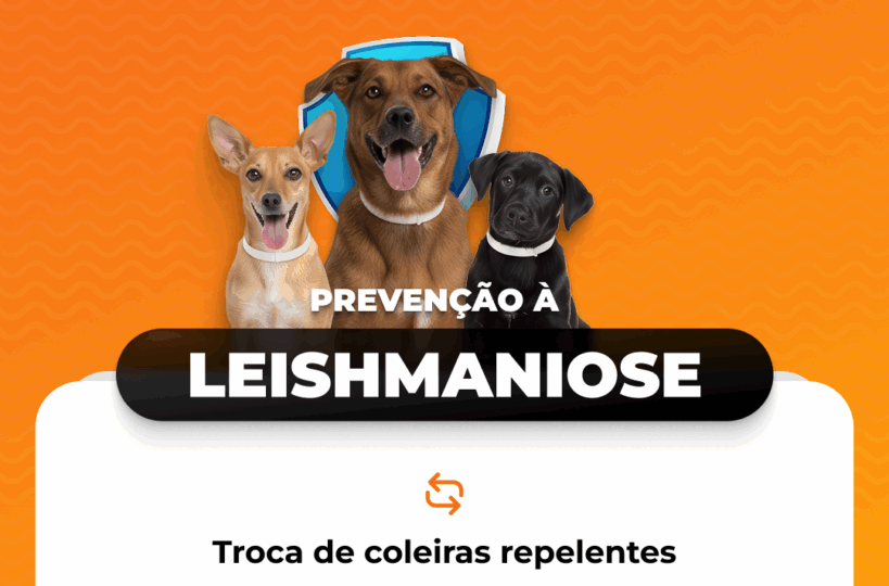 Pereira Barreto realizará troca de coleiras repelentes contra a Leishmaniose