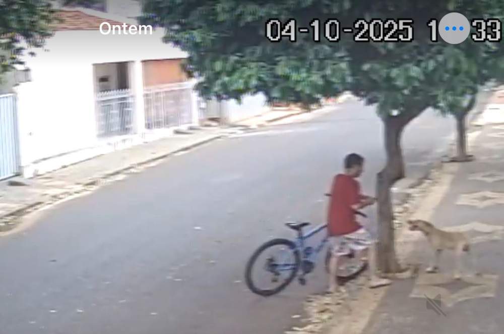 Cão é deixado sozinho amarrado em árvore em rua