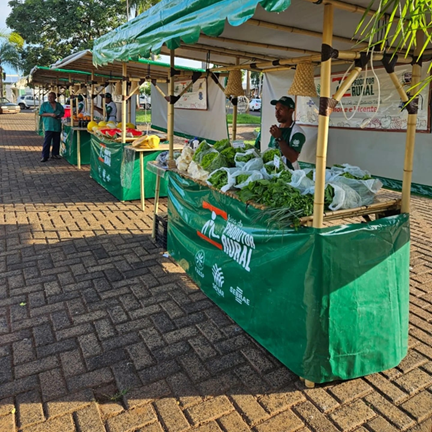 Feira do Produtor Rural de Ilha Solteira será reinaugurada dia 24 de outubro