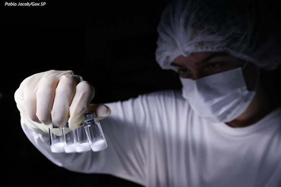 Vacina da dengue do Instituto Butantan, primeira do mundo em dose única, é aprovada pela Anvisa