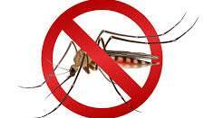 Dengue exige atenção redobrada em período de calor intenso e chuvas torrenciais