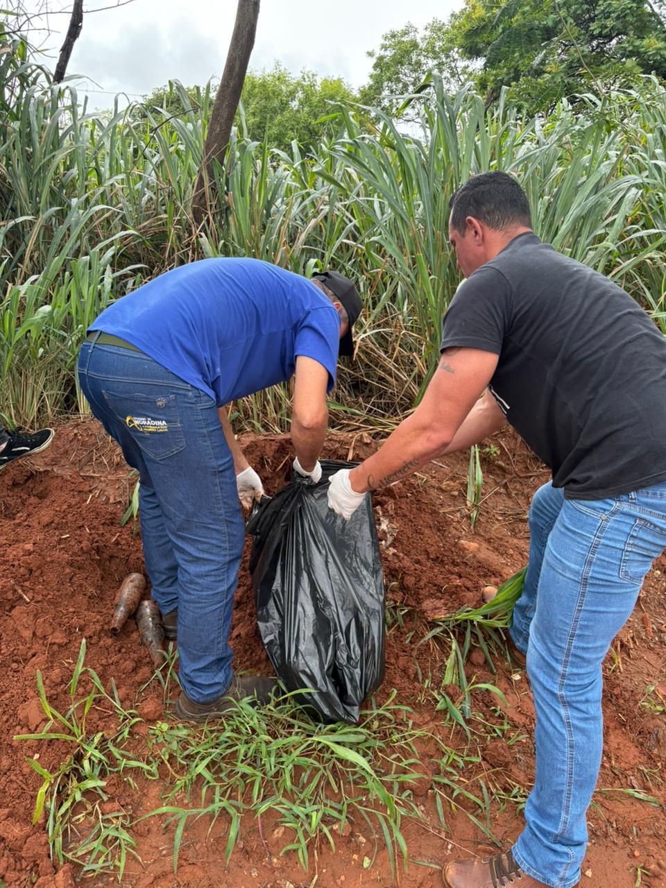 Corpo de cão morto é desenterrado e encaminhado para necropsia em Andradina