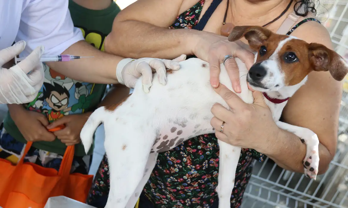 Senado aprova Estatuto dos Cães e Gatos