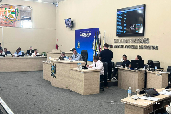 Vereadores apontam melhorias para Andradina na 7ª Sessão