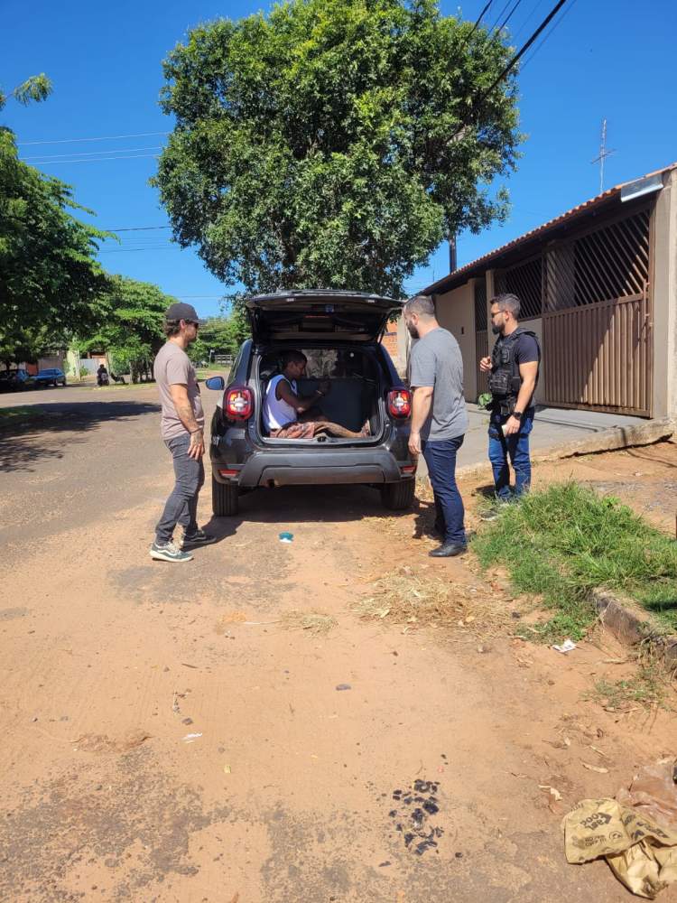 Homem de 41 anos é preso por descumprir medidas protetivas e ameaçar vítima