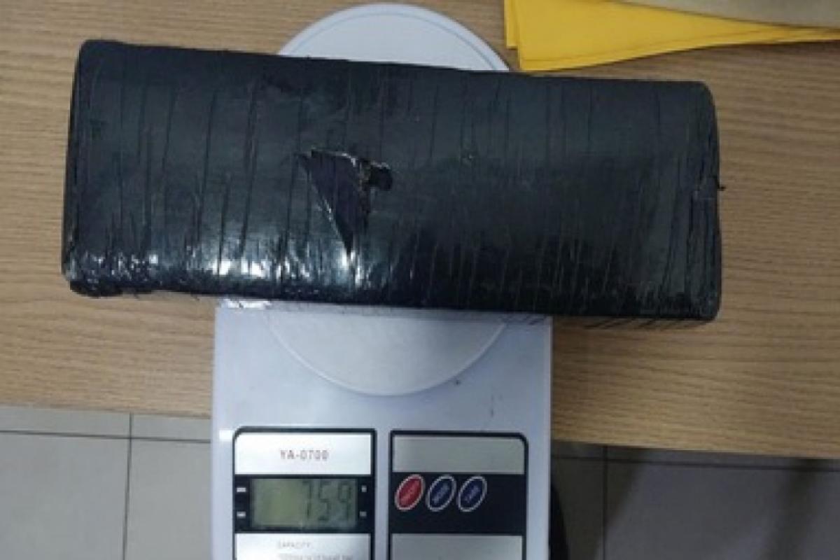 Casal é preso após soltar pitbull contra policiais militares