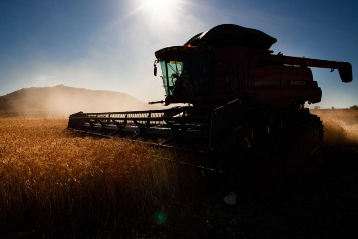 Endividamento no agro acende alerta entre produtores rurais