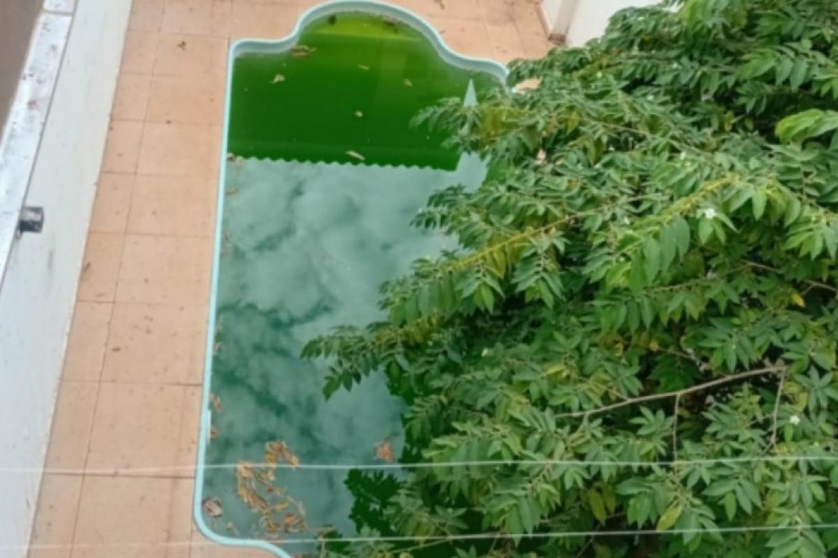 Casa abandonada preocupa moradores por mato alto e piscina verde