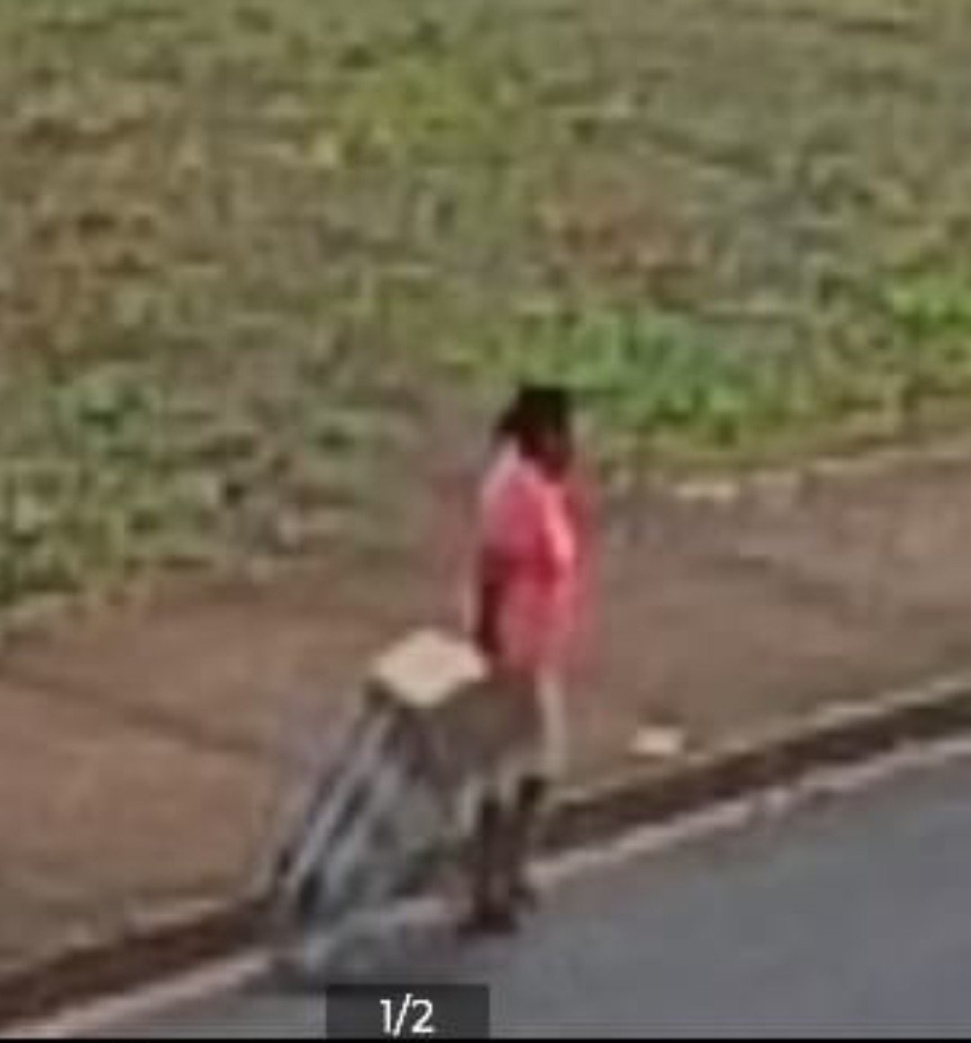 Abandono de filhotes é flagrado por câmera de segurança na Vila Mineira