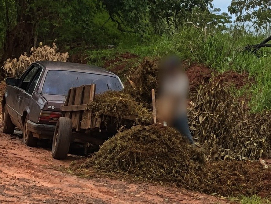 Descarte irregular pode gerar multa em Andradina, alerta Meio Ambiente