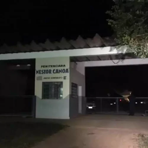 Novo caso na região: Funcionário da Penitenciária morre após ataque de abelhas