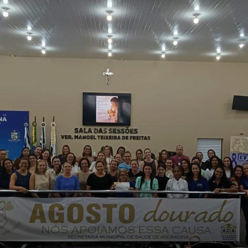 Agosto Dourado: Campanha mobilizou centenas de mães sobre a importância da amamentação