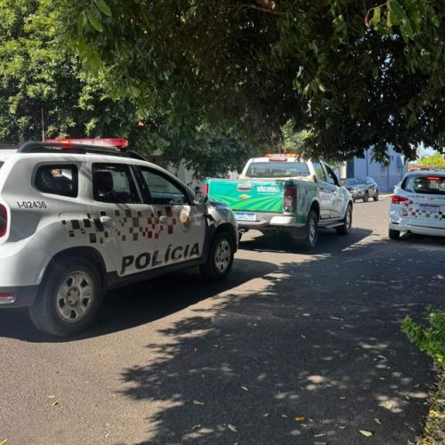 Casal acusado de castrar cão com uso de faca obtém liberdade provisória