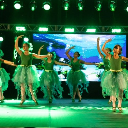 Festival Artetude encanta público com espetáculo inspirado no fundo do mar