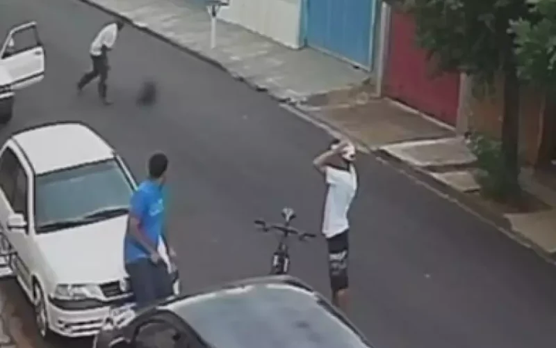 Cachorra é violentamente agredida por tutor