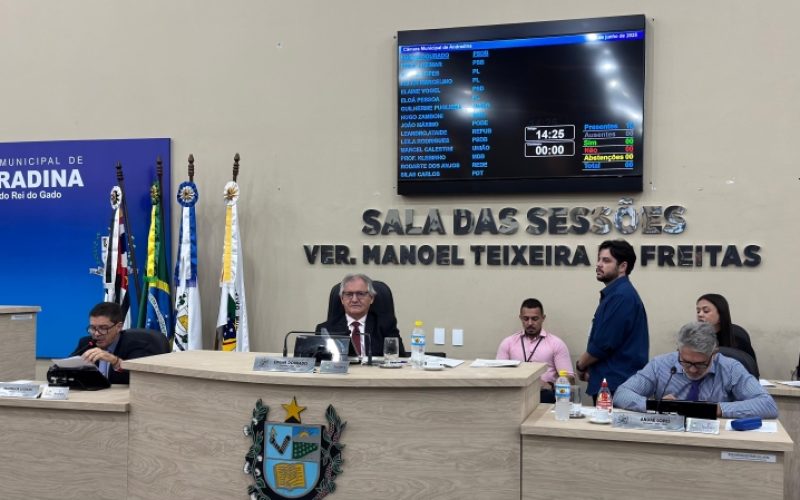 Câmara de Andradina aprova projetos voltados à educação, habitação e assistência social