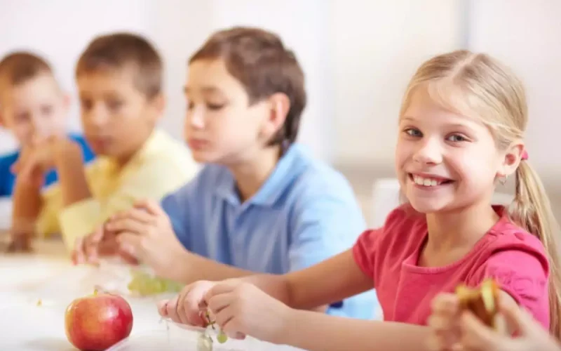 Câmara Municipal de Andradina discute iluminação pública e merenda escolar