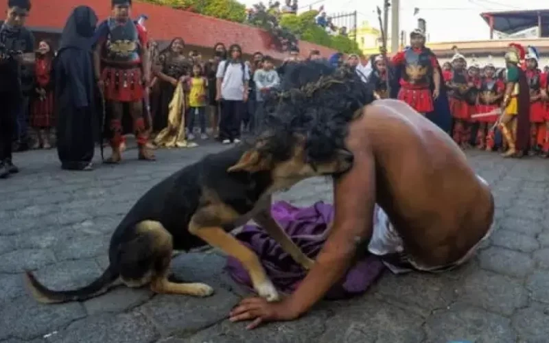 Cão tenta consolar “Jesus” durante via crucis e gesto inocente mostra o verdadeiro sentido da Páscoa