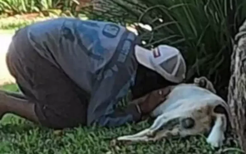 Comoção: Morador de rua chora por cão morto por PM