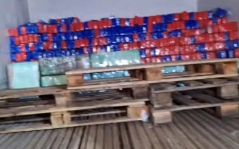Motorista é preso transportando mais de 1 Tonelada de maconha em caminhão baú em Castilho (SP)