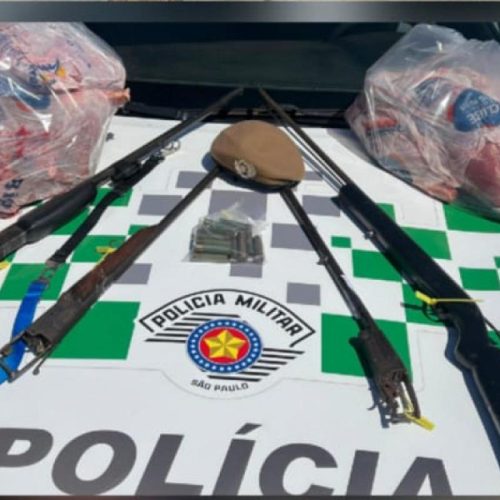 Apreensão de armas e 41 kg de carne de cateto em Castilho