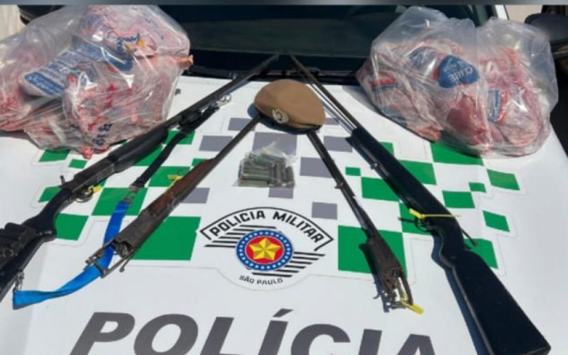 Apreensão de armas e 41 kg de carne de cateto em Castilho