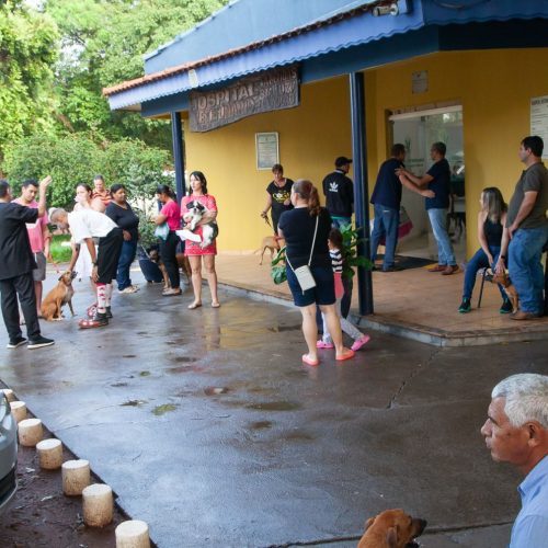 Mutirão de Castração vai acontecer 1 vez por mês