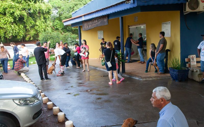 Mutirão de Castração vai acontecer 1 vez por mês