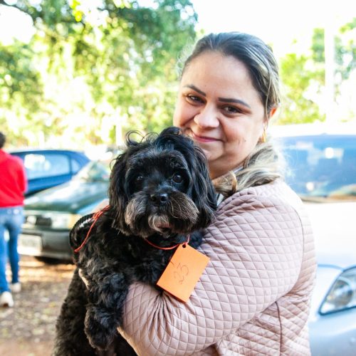 Em agosto tem mutirão de castração e chipagem de gatos em Andradina