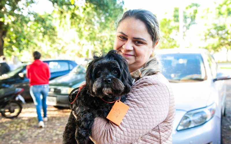 Em agosto tem mutirão de castração e chipagem de gatos em Andradina