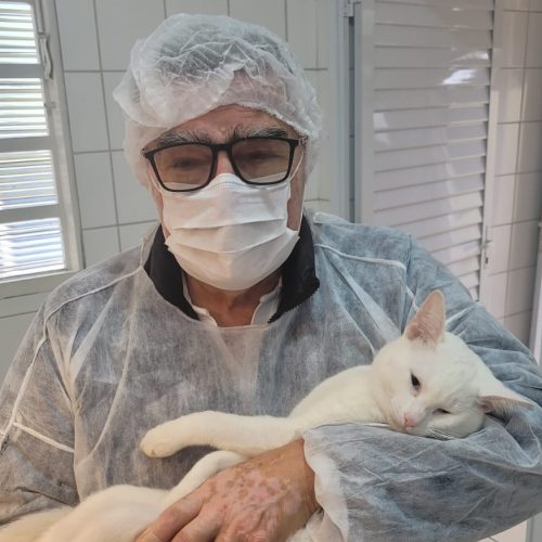 Unidade de Vigilância de Zoonozes de Andradina já castrou 5 mil gatos desde 2021