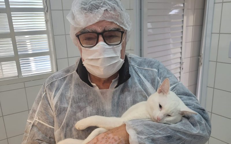 Unidade de Vigilância de Zoonozes de Andradina já castrou 5 mil gatos desde 2021
