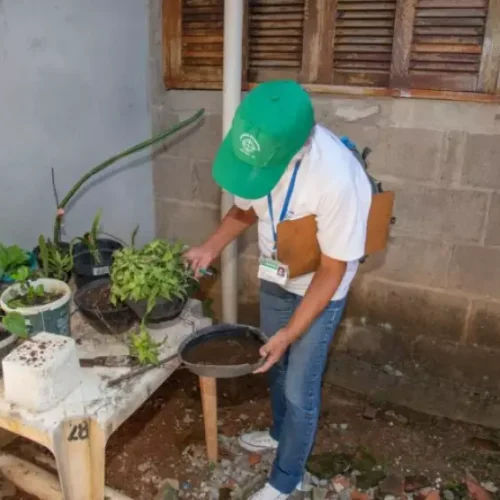 Estado de São Paulo decreta emergência por dengue