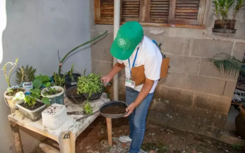 Estado de São Paulo decreta emergência por dengue