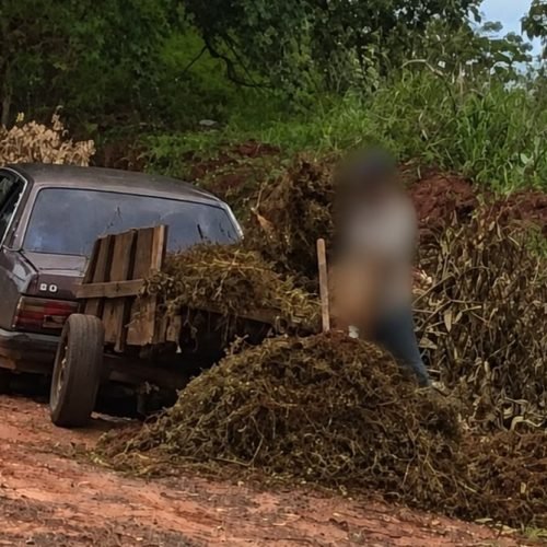 Descarte irregular pode gerar multa em Andradina, alerta Meio Ambiente