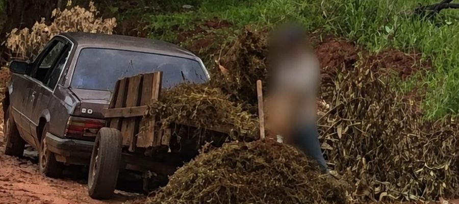 Descarte irregular pode gerar multa em Andradina, alerta Meio Ambiente