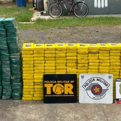 Polícia apreende quase 700 kg de drogas em rodovia do interior