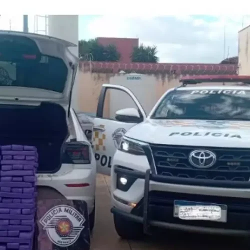 Motorista é preso ao transportar mais de 115 kg de maconha